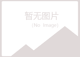 上海白山律师有限公司